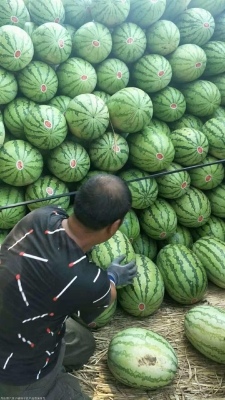 赤峰通遼骨粉廠電話多少號(hào)-第1張圖片