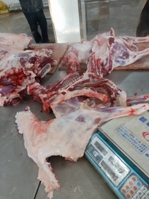 赤峰草皮批發(fā)電話號碼多少-第1張圖片