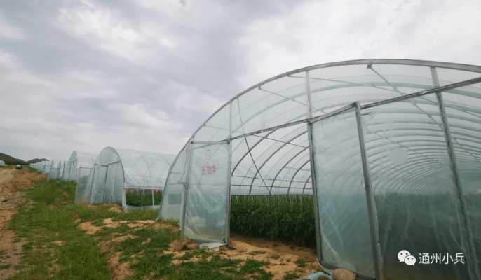 赤峰市翁牛特旗廣德公鎮(zhèn)廣德公特產(chǎn)-第1張圖片