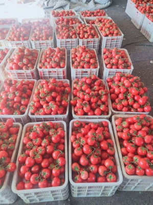 大城子到赤峰物流電話號碼-第1張圖片