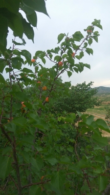 赤峰市寧城泰和賓館電話(huà)號(hào)碼-第1張圖片