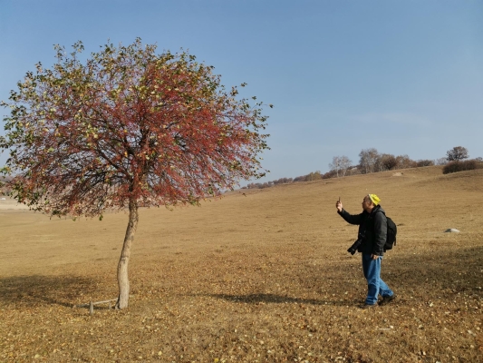 赤峰悅賓馬場(chǎng)電話號(hào)碼查詢-第1張圖片