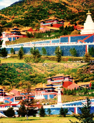 赤峰市北山林場(chǎng)電話號(hào)碼-第1張圖片