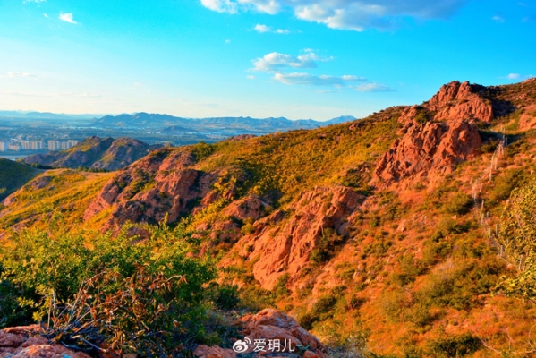 赤峰市壹號球館電話號碼-第1張圖片