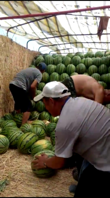 赤峰鑫鑫物流電話-第1張圖片