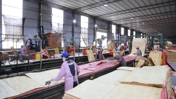 赤峰板材加工廠-第1張圖片