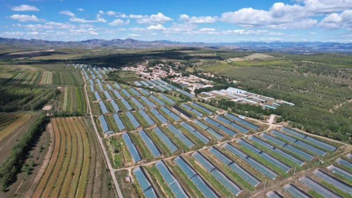 最新進(jìn)赤峰政策查詢電話是多少-第1張圖片