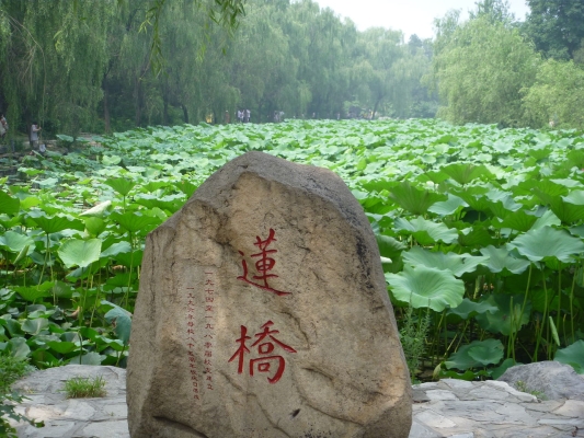 赤峰市園林浴池電話號(hào)碼查詢-第1張圖片