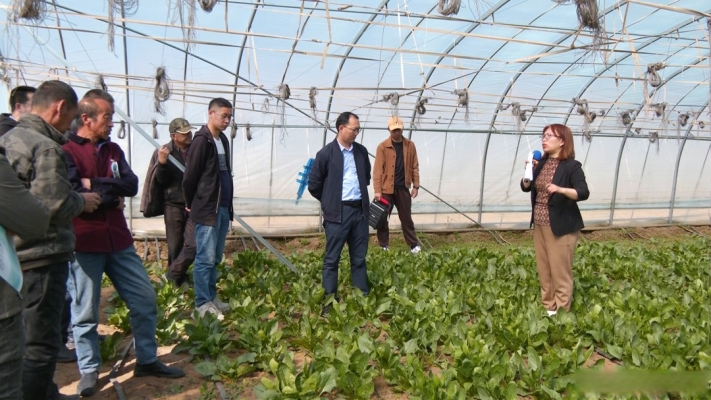 赤峰市大棚招工信息電話號(hào)碼-第1張圖片