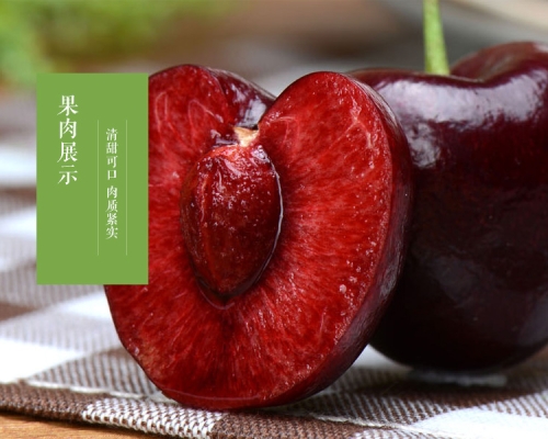 赤峰甄選水果電話號碼查詢是多少-第1張圖片