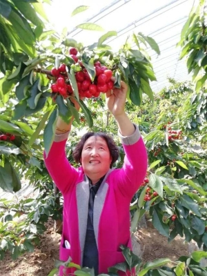 赤峰地區(qū)做暖棚的公司電話號(hào)碼-第1張圖片