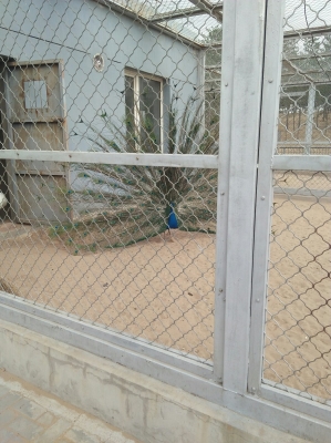 赤峰公園b區(qū)小區(qū)地址電話號碼-第1張圖片