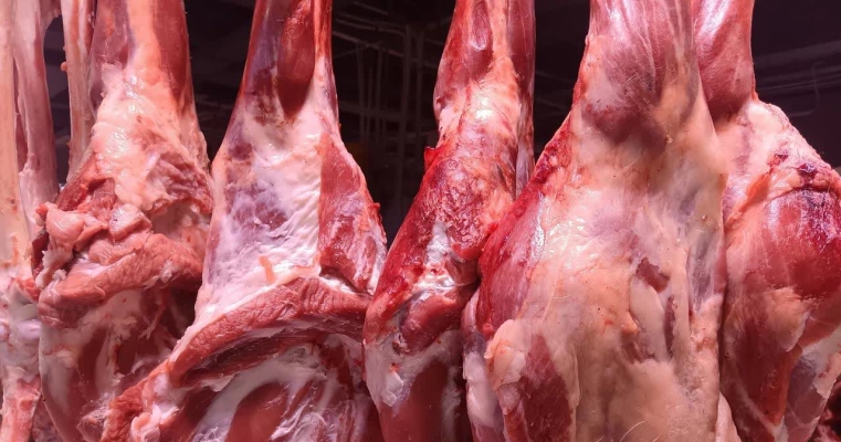 赤峰新慧屠宰廠電話地址查詢-第1張圖片