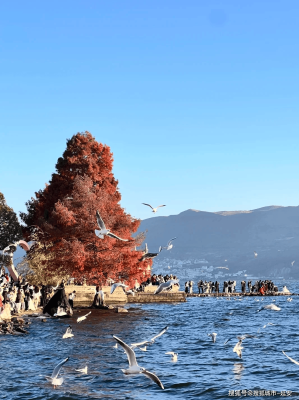 赤峰夕陽美旅行社電話號碼-第1張圖片