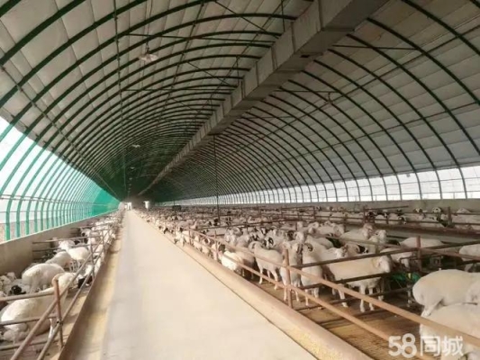 赤峰種植大棚電話多少啊-第1張圖片