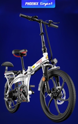 赤峰鳳凰電瓶車(chē)售后電話號(hào)碼-第1張圖片