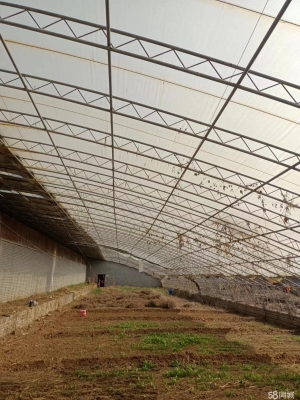 赤峰地埋式大棚出租電話號碼-第1張圖片