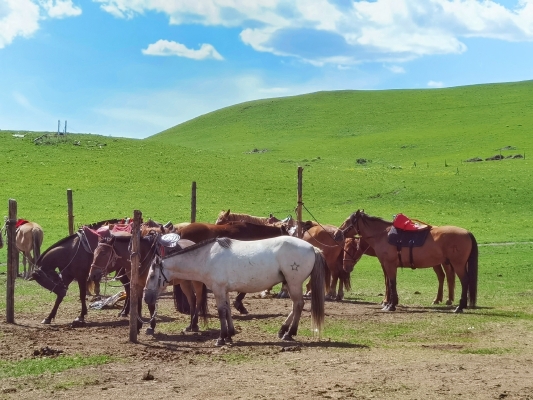 赤峰紅山區(qū)軍分區(qū)電話號(hào)碼-第1張圖片