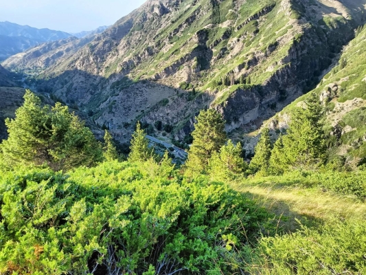 赤峰市木頭溝郵局電話號(hào)碼-第1張圖片