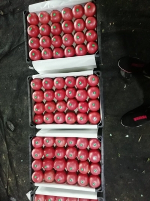 赤峰自助水果超市地址電話號碼-第1張圖片