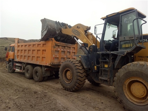 赤峰求購茶苗電話號碼查詢-第1張圖片