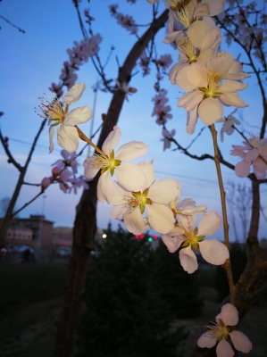 赤峰紅山區(qū)垂釣園電話號碼-第1張圖片