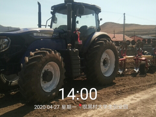 赤峰黑玉米收購(gòu)電話號(hào)碼是多少-第1張圖片