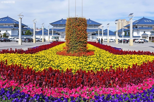 赤峰銀象藥房地址電話號(hào)碼-第1張圖片