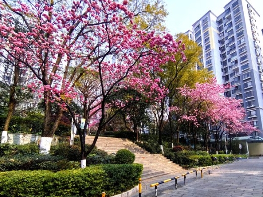 赤峰澤泰汽貿(mào)電話號(hào)碼查詢-第1張圖片