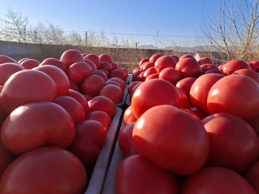赤峰大廟鎮(zhèn)拼車群電話號(hào)碼-第1張圖片