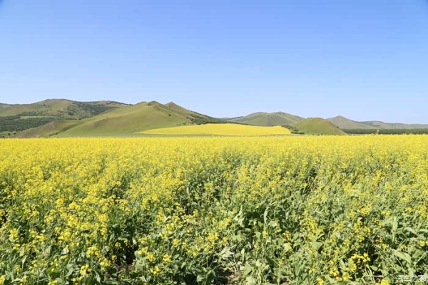 伊春至赤峰物流專線電話號碼-第1張圖片