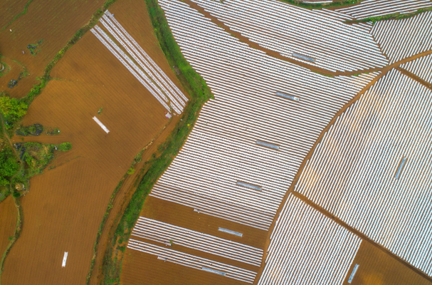 赤峰烤煙種植合作社電話(huà)號(hào)碼-第1張圖片