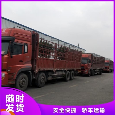 赤峰到白城貨運(yùn)專線電話號(hào)碼-第1張圖片