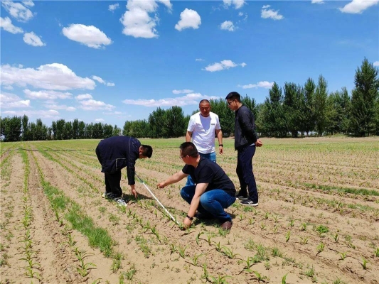 赤峰市元寶山區(qū)平莊村-第1張圖片