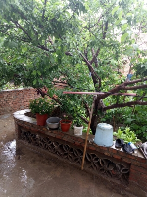 赤峰市大板大街社區(qū)電話號碼-第1張圖片