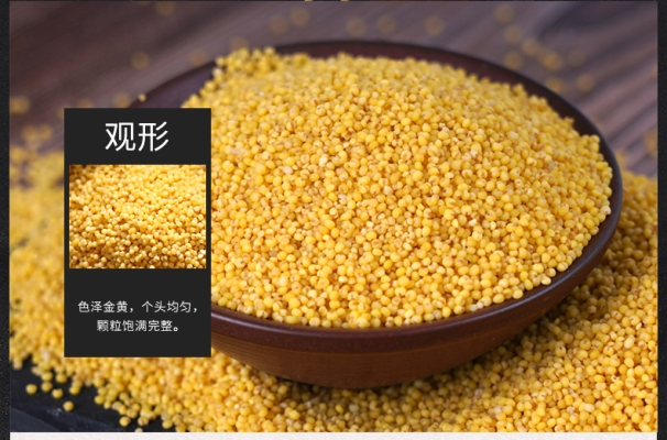 赤峰橋北小米直銷處電話號碼-第1張圖片