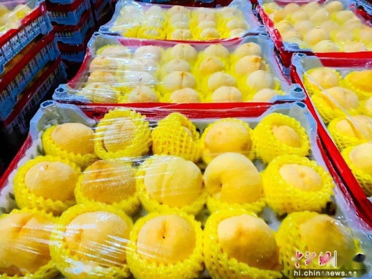 赤峰路水果批發(fā)電話地址查詢-第1張圖片