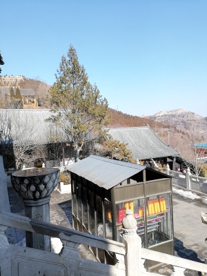 赤峰塑料袋批發(fā)市場(chǎng)-第1張圖片