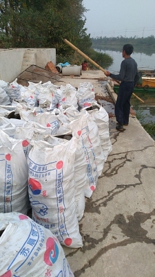 赤峰市河蚌批發(fā)電話號碼-第1張圖片