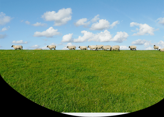 赤峰市獸醫(yī)診所招聘電話號(hào)碼-第1張圖片