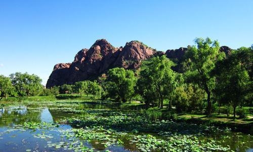 內(nèi)蒙古赤峰紅磚廠電話號碼-第1張圖片