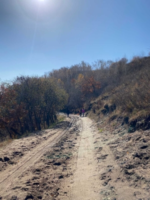 赤峰至盤錦客車電話號碼查詢-第1張圖片