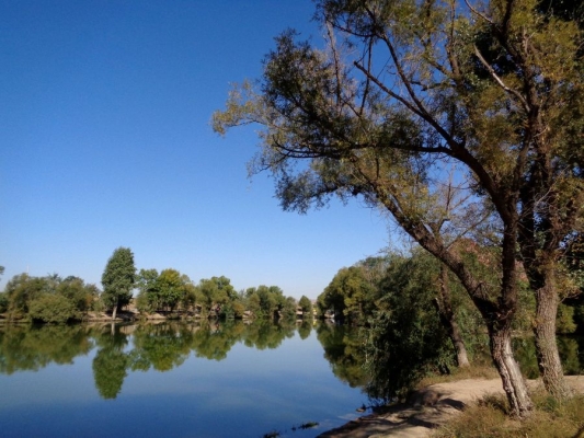 赤峰市數(shù)碼攝影店電話號碼-第1張圖片