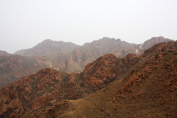 赤峰蜂鳥酒吧電話號碼多少號-第1張圖片