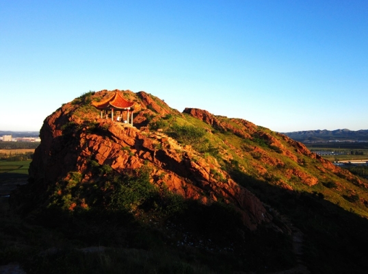 赤峰紅山區(qū)蘇泊爾銷售電話號(hào)碼-第1張圖片