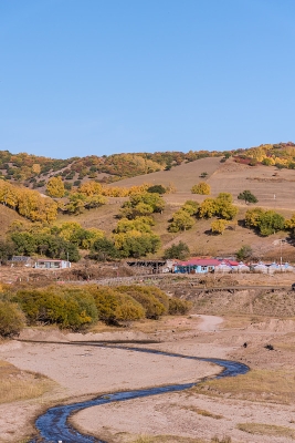 赤峰市收購樹林電話地址查詢-第1張圖片