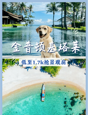 赤峰攜寵酒店電話號(hào)碼多少-第1張圖片