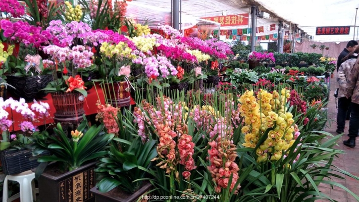 赤峰地?cái)傎u(mài)鮮花電話(huà)多少號(hào)-第1張圖片