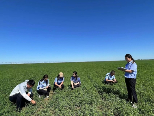 赤峰市牧草銷售公司電話號碼-第1張圖片