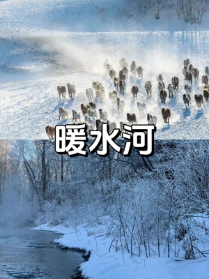 大連往返赤峰拼車群電話號碼-第1張圖片